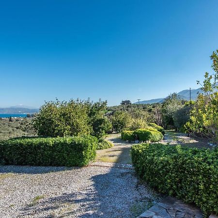 Olive Garden Vila Exopoli Exteriör bild